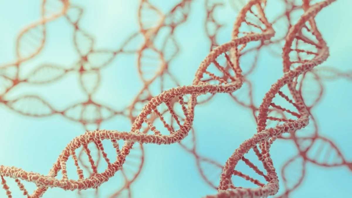 Qué papel juega la carga genética que heredamos en las enfermedades comunes